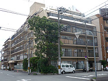 ノバカネイチ中津